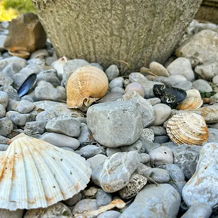 Palma-4 By Interhome דירה לובראן