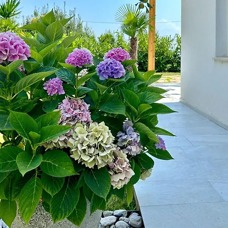 Palma-4 By Interhome Apartment *