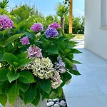 Palma-4 By Interhome Apartamento *